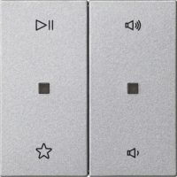 Gira Wippe 2fach Audiostrg F Alu 538426