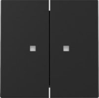 GIRA 3631005 Wippe 2fach Kontrollfenster System 55 Schwarz matt (lackiert)