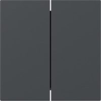 GIRA 349528 Wippe 2fach gerade System 55 Anthrazit