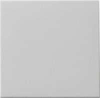 Gira Wippe Tastschalter grau 0916015