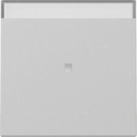 GIRA 3670015 Wippe Kontrollfenster+BSF System 55 Grau matt (lackiert)