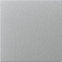 GIRA 349626 Wippe gerade System 55 Farbe Alu