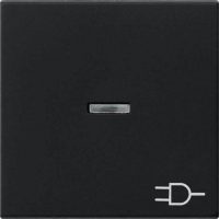 Gira Wippe schwarz Kontrollf.+Symb. 0209005