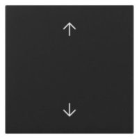 GIRA Wippe_2t Schalter schwarz mt Pfeile 3616005
