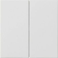 Gira Wippe 2-fach Reinweiß 537027