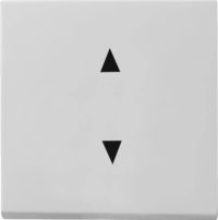 Gira Wippe gr Pfeilsymbole 8616015