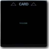 Busch-Jaeger Zentralscheibe anthrazit für Cardschalter 1792-81