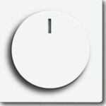Busch-Jaeger Zentralscheibe stws matt für Drehdimmer 6540-884-102