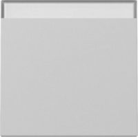 GIRA 3299015 Wippe Beschriftungsfeld System 55 Grau matt (lackiert)