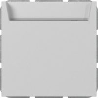 GIRA 3140015 Hotel-CardS+N-Kl.System 55 Grau matt