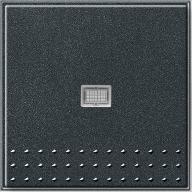 Gira Gira Tast-Kontrollschalter anthrazit TX44 013667