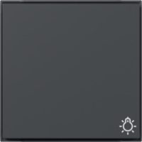 GIRA 328567 Wippe Symbol Licht TX_44 WG UP Anthrazit