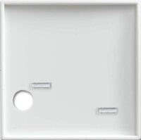 Busch-Jaeger Zentralscheibe alpinweiß Licht-Ton-Rufsysteme 2548-046 A-914