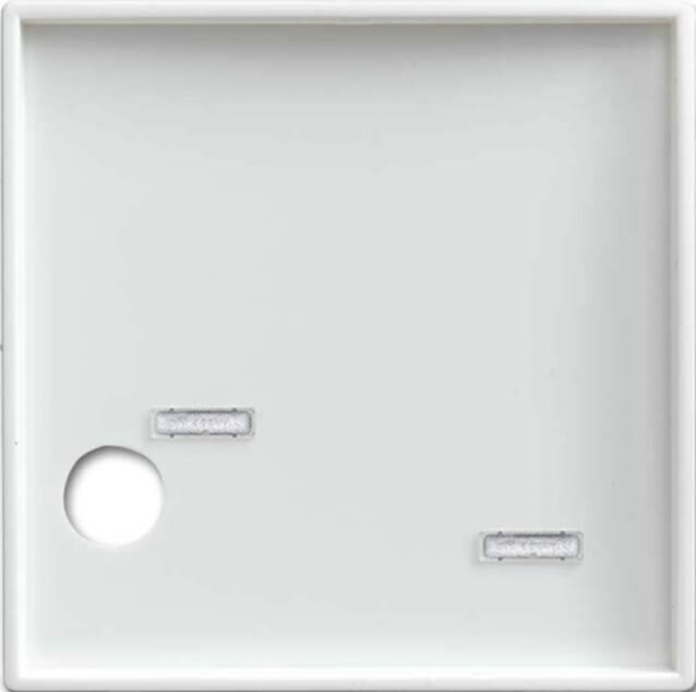Busch-Jaeger Busch-Jaeger Zentralscheibe alpinweiß Licht-Ton-Rufsysteme 2548-046 A-914