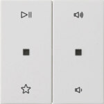 Gira Wippe 2-fach Audiostrg Reinweiß m 538427