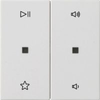 Gira Wippe 2fach Audiostrg Reinweiß m 538427