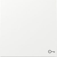 GIRA 328770 Wippe Symbol Tür Reinweiß glänzend