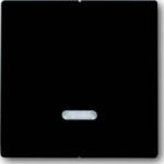 Busch-Jaeger Bedienelement mit Glimmlampe 6545-81
