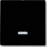 Busch-Jaeger Bedienelement mit Glimmlampe 6545-81