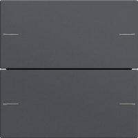 Gira Wippenset 2-fach Tastsensor Anthrazit 575228