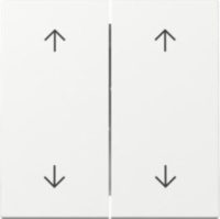 GIRA 329703 Wippe 2fach Pfeile System 55 Reinweiß glänzend