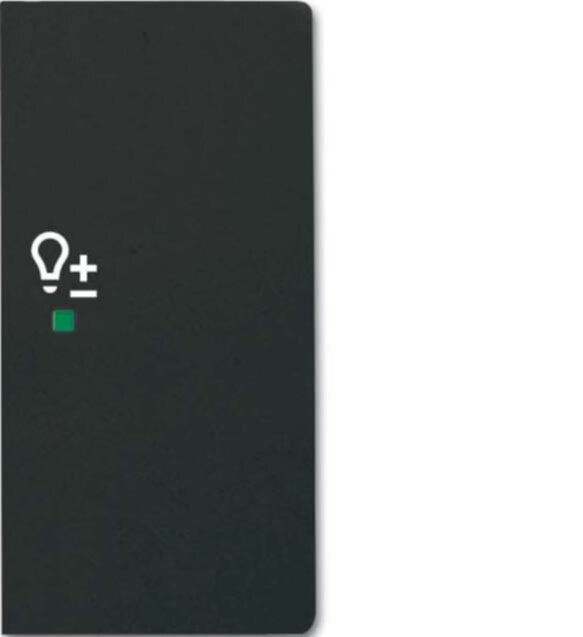 Busch-Jaeger Busch-Jaeger Wippe schwarz matt future linear 6234-22-885