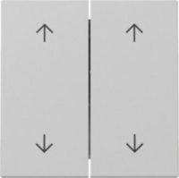 GIRA 3297015 Wippe 2fach Pfeile System 55 Grau matt (lackiert)