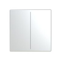 Busch-Jaeger Tastwippe KNX free@home Kunststoff LFW/A.2.63.11-866 Edelstahl Thermopl 2-fach