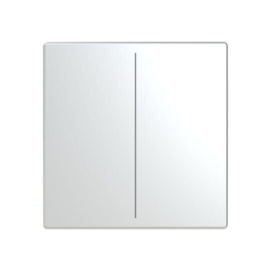 Busch-Jaeger Busch-Jaeger Tastwippe KNX free@home Kunststoff LFW/A.2.63.11-866 Edelstahl Thermopl 2-fach