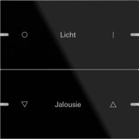 GIRA 503205 Wippenset 2fach indiv. Tastsensor4 TS4 Glas Schwarz