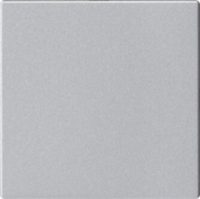 GIRA 810826 Blindabdeckung o.Tragring System 55 Farbe Alu