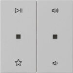 Gira Wippe 2-fach Audiostrg Grau m 5384015