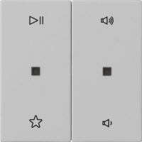 Gira Wippe 2fach Audiostrg Grau m 5384015