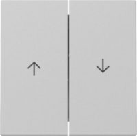 GIRA 3294015 Wippe 2fach Pfeil System 55 Grau matt (lackiert)