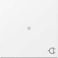 Bild vom Produkt: GIRA 329103 Wippe Kontrollfenster+Symbol Steckdose System 55 Reinweiß glänzend