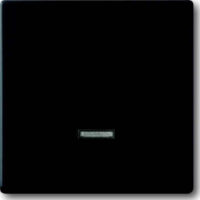 Busch-Jaeger Bedienelement Memory 6543-885-101