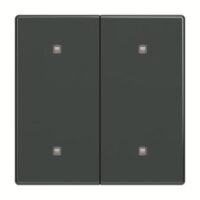 Busch-Jaeger Wippe 2-fach Elektroniktaster 2570-20-81