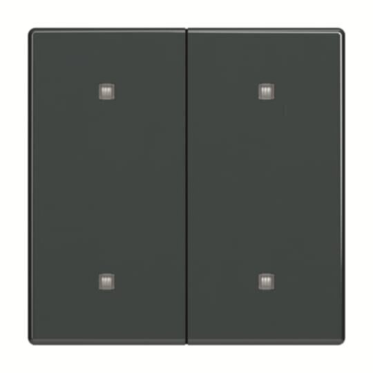 Busch-Jaeger Busch-Jaeger Wippe 2-fach Elektroniktaster 2570-20-81