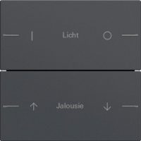 Gira Wippenset 2-fach indiv. Tastsensor Anthrazit 576228