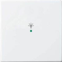 Busch-Jaeger Wippe 1-fach, Symbol Licht studioweiß 6231-10-84