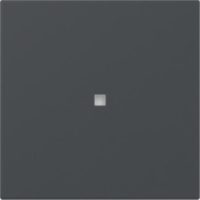 GIRA 349028 Wippe gerade Kontrollfenster System 55 Anthrazit