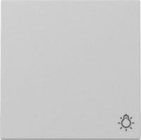 GIRA 3285015 Wippe Symbol Licht System 55 Grau matt (lackiert)