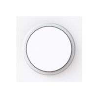 Busch-Jaeger Zentralplatte Symbol Dimmer 6540-44G-102 studioweiß glänzend