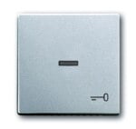 Busch-Jaeger Kontrollwippe Schalter matt future linear 1789 TR-83 alu-si