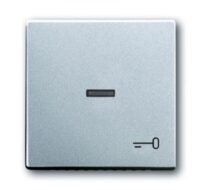 Busch-Jaeger Kontrollwippe Schalter matt future linear 1789 TR-83 alu-si