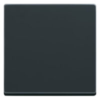 Busch-Jaeger Wippe 2-teilig Symbol Dimmer anthrazit 6735 BT-81 glänzend für Bussystem