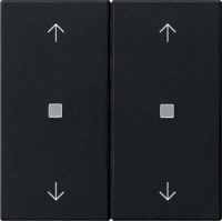 Gira Wippe 2-fach Schwarz 5386005