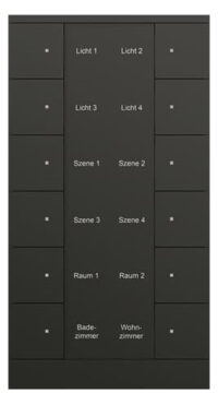 Busch-Jaeger 12-fach Bedienelement schwarz, matt SB/U12.0.11-885
