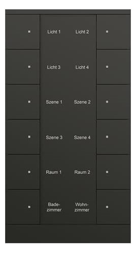 Busch-Jaeger Busch-Jaeger 12-fach Bedienelement schwarz, matt SB/U12.0.11-885