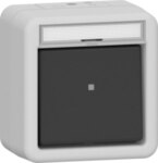 Gira 311230 Wipp-Kontroll Aus 2-polig BSF WG Aufputz IP44 Grau